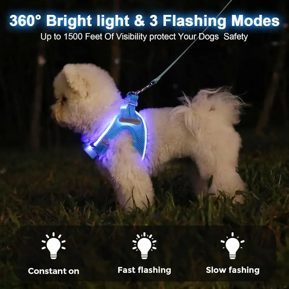 Feycig LED Light Up Dog Harness, Fluorescent Blue, Small, USB Rechargeable